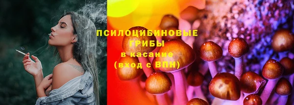 прущие крисы Белоозёрский