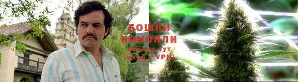 таблы Белокуриха