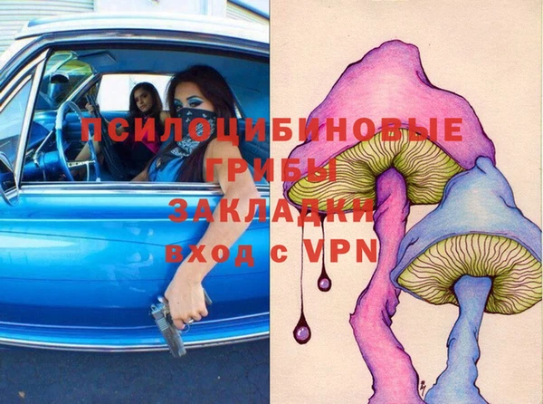 таблы Белокуриха
